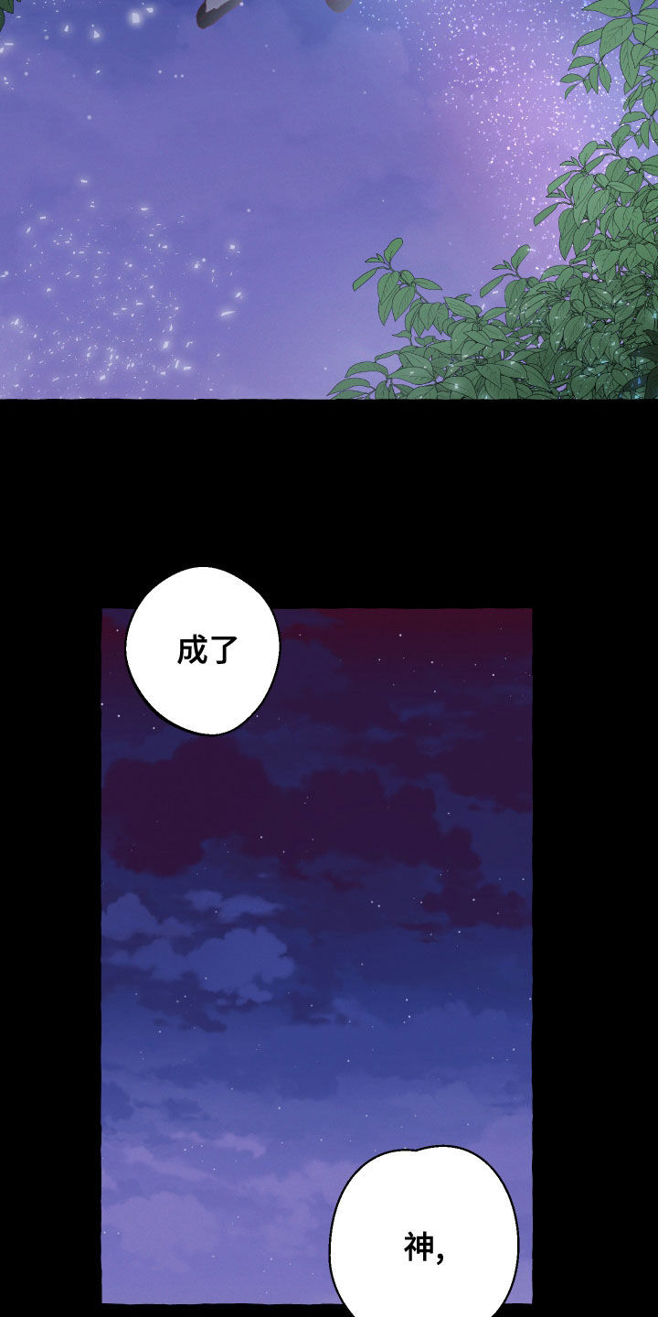 第25章：条件17