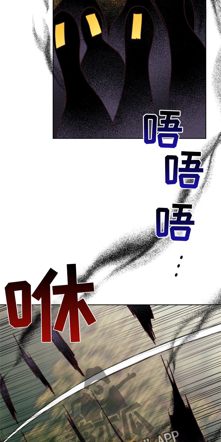 第51章：袭击20