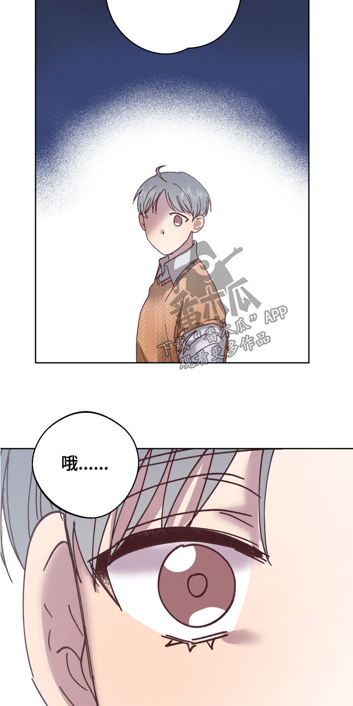 第29章：监护人15
