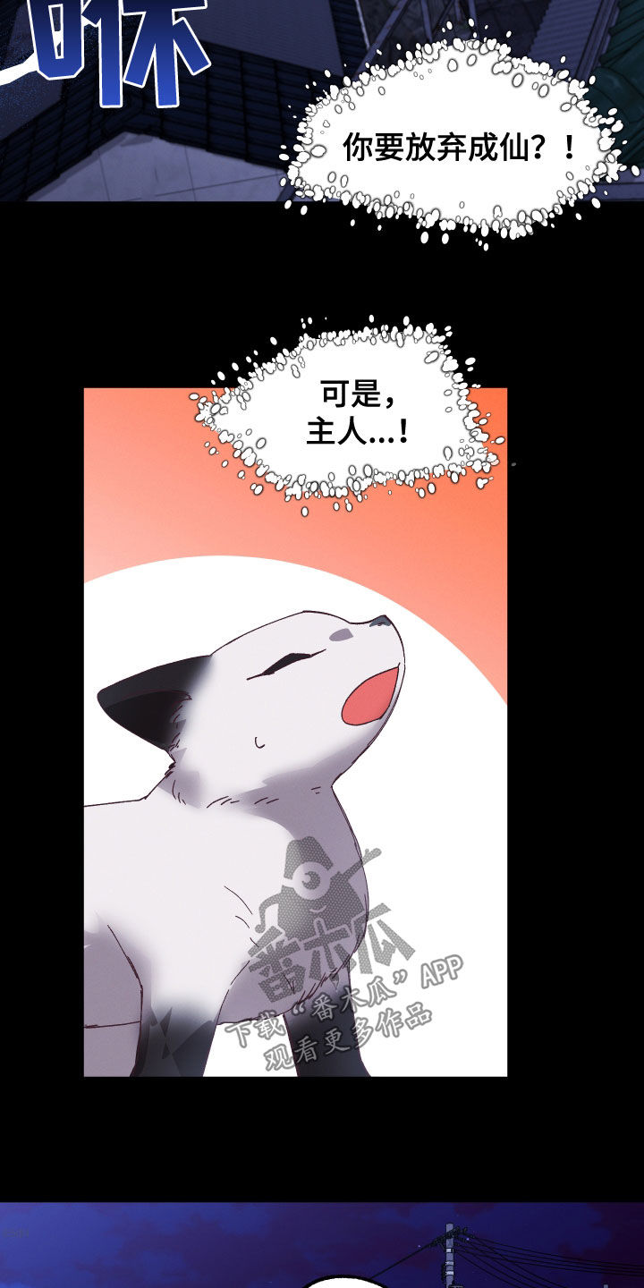 第27章：看你可爱5