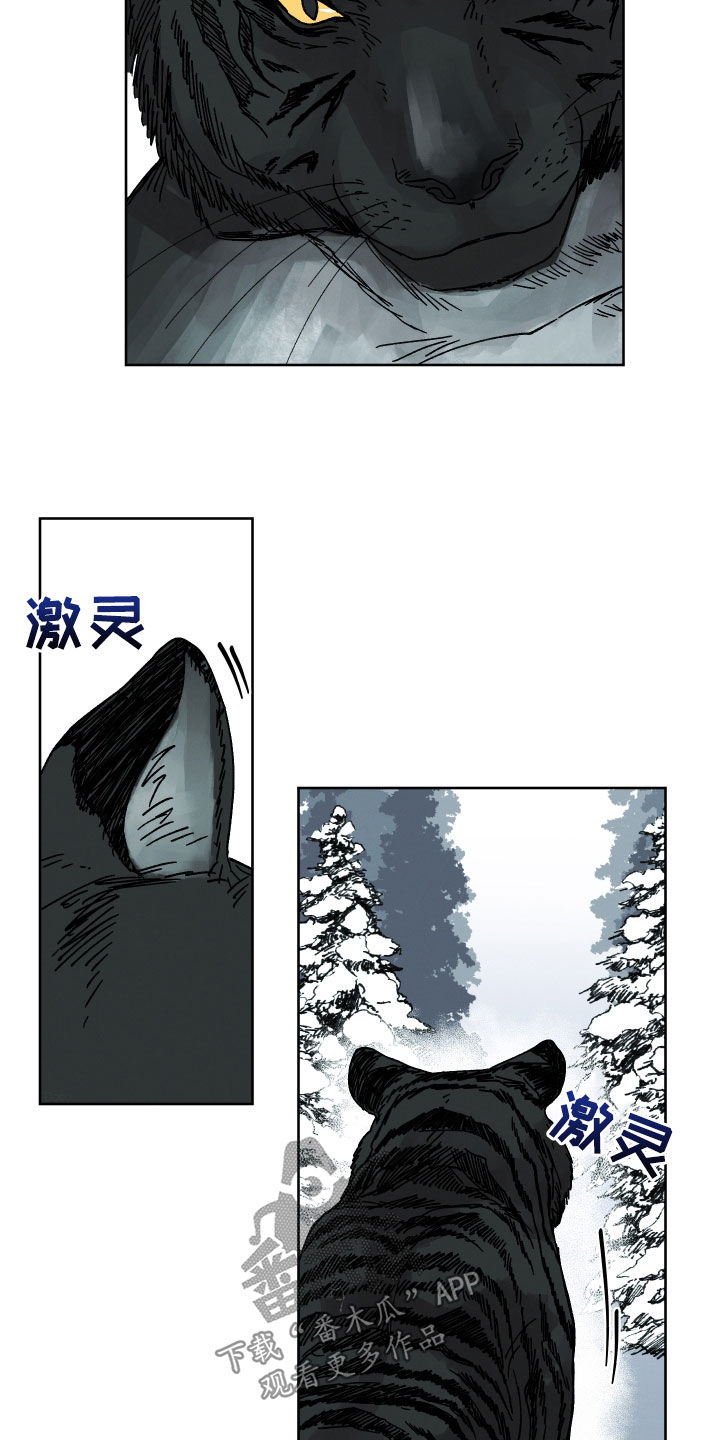 第19章：命运自己找来7