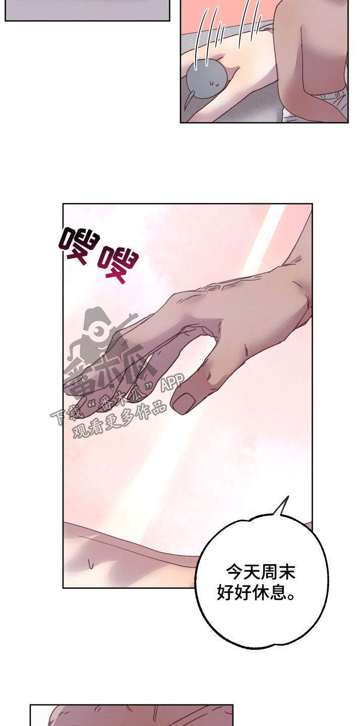第20章：和他有关6