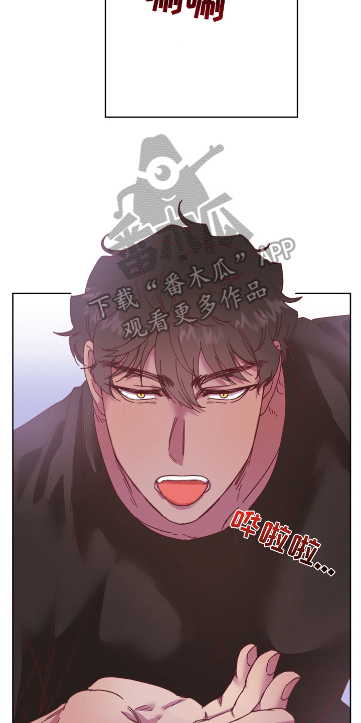 第17章：今天死不掉11