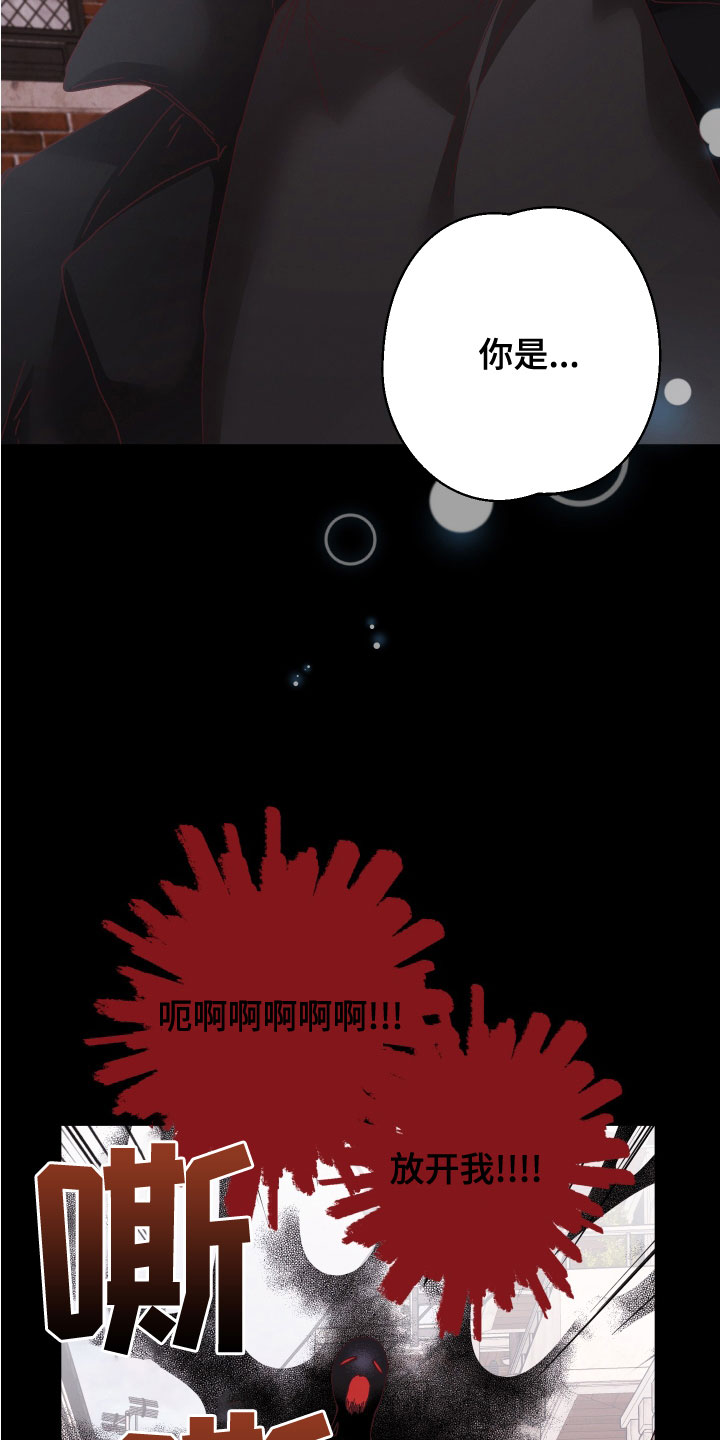 第31章：亡灵24