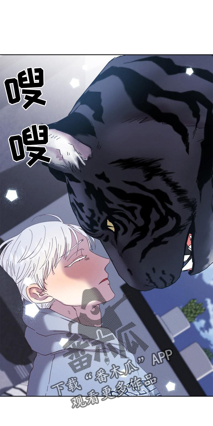 第59章：拯救26
