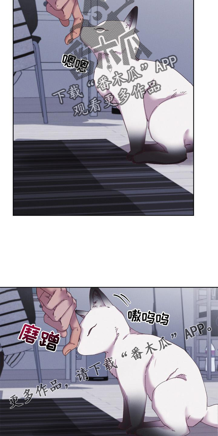 第60章：守护【第一季完结】12