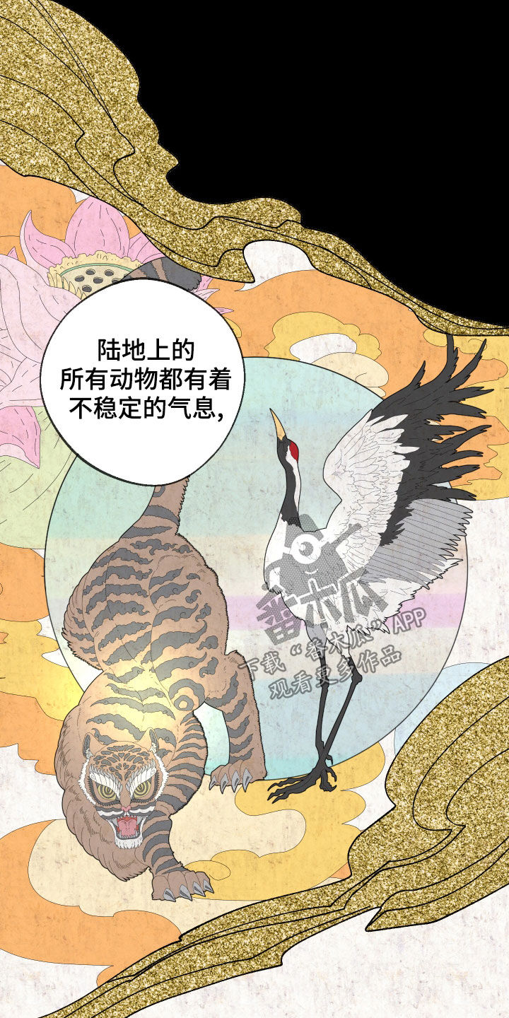第25章：条件19