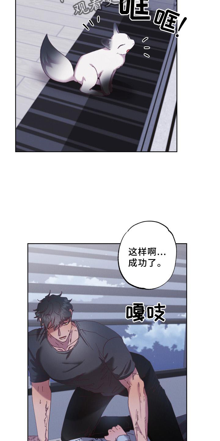 第60章：守护【第一季完结】8