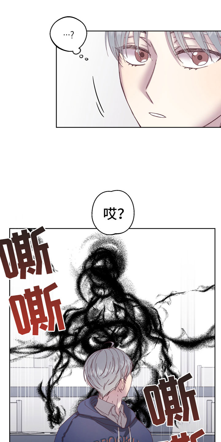 第2章：奇怪黑影11