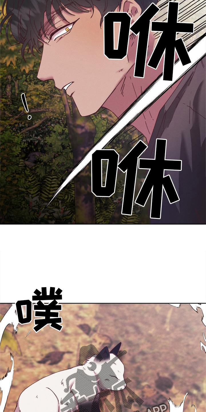 第52章：干扰11