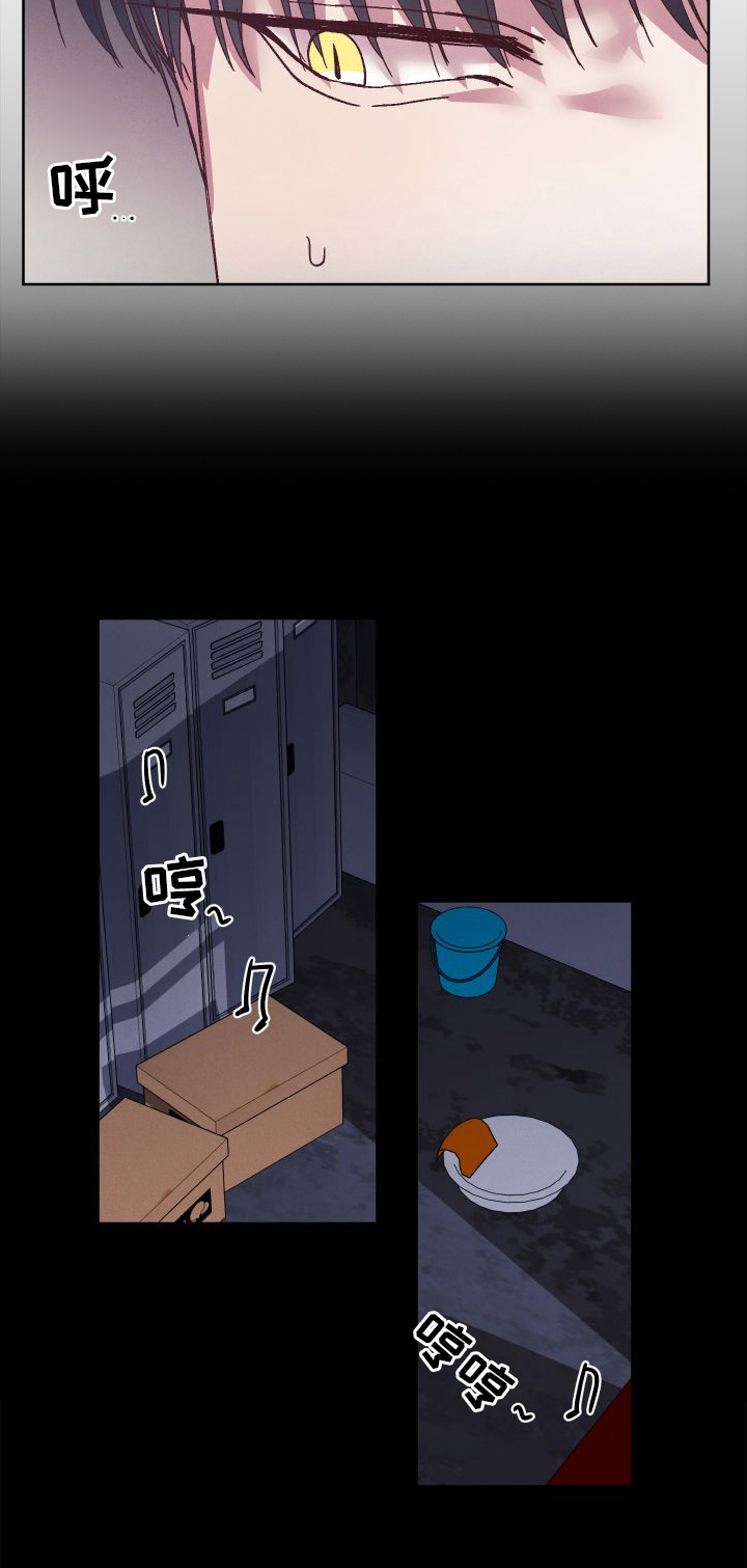 第53章：支援15