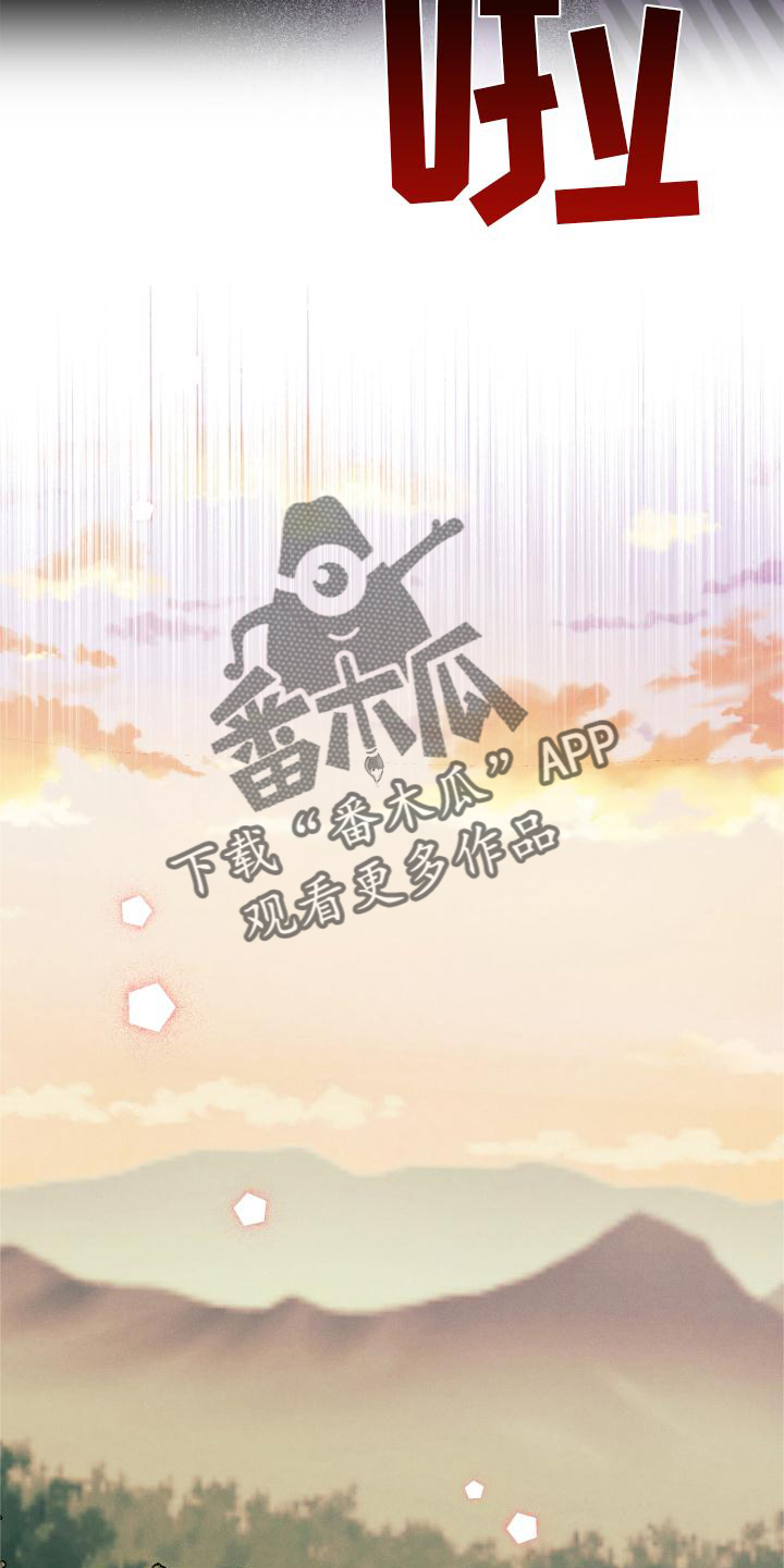第51章：袭击17