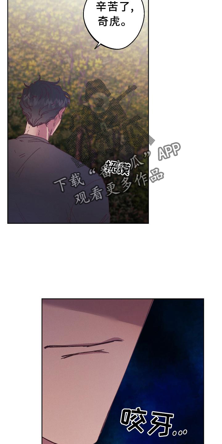 第52章：干扰15