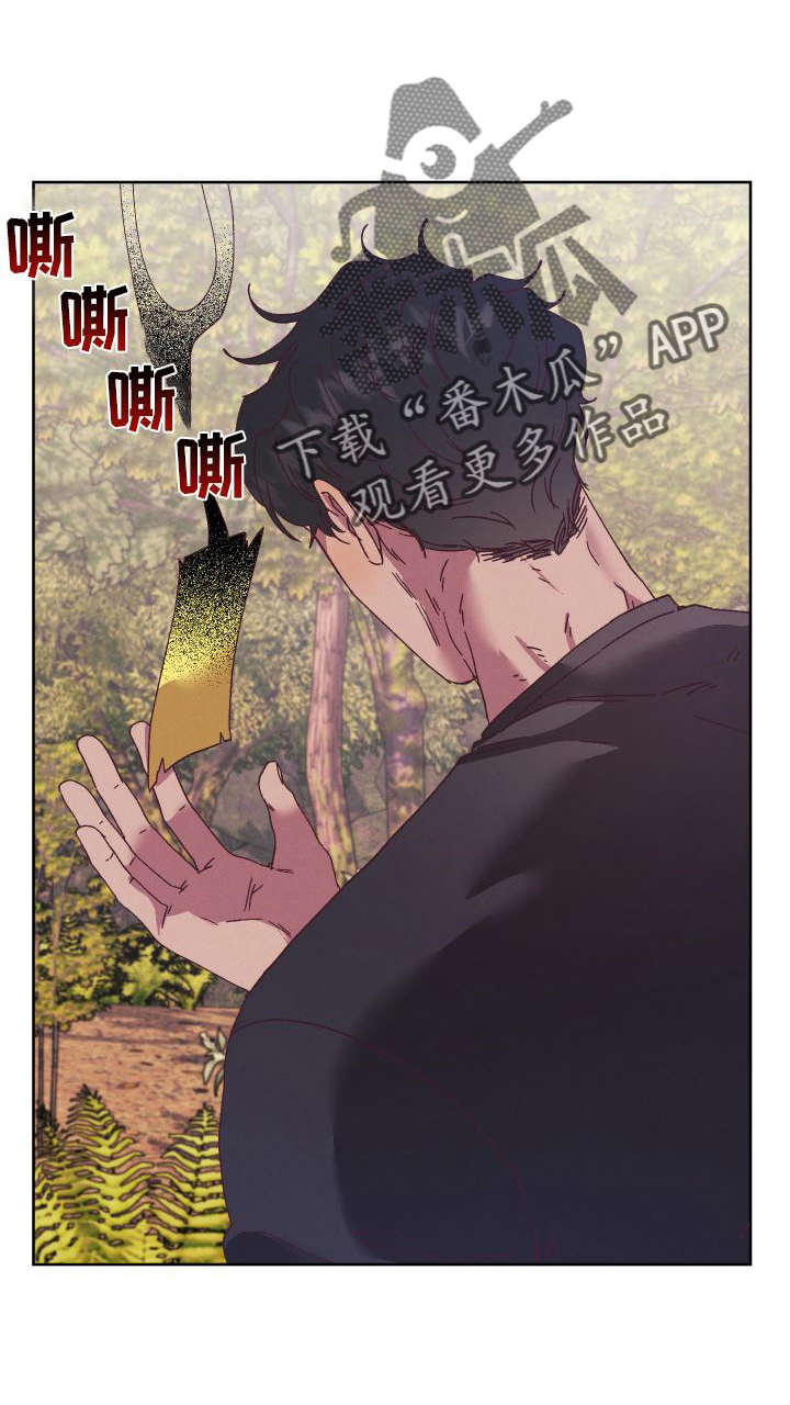 第51章：袭击24