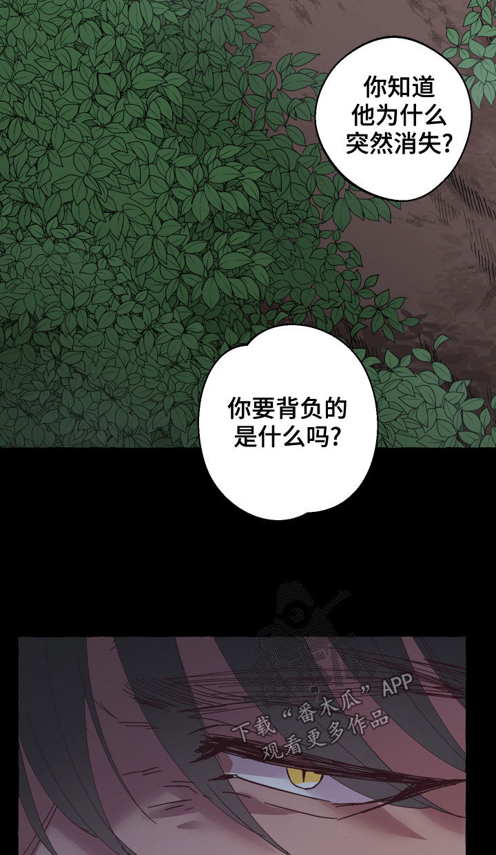 第25章：条件14