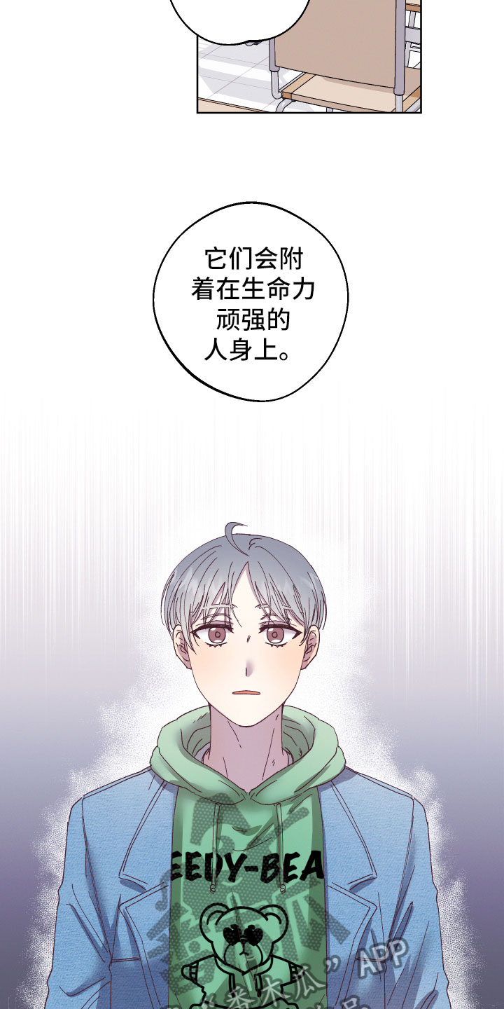 第5章：怎么办11