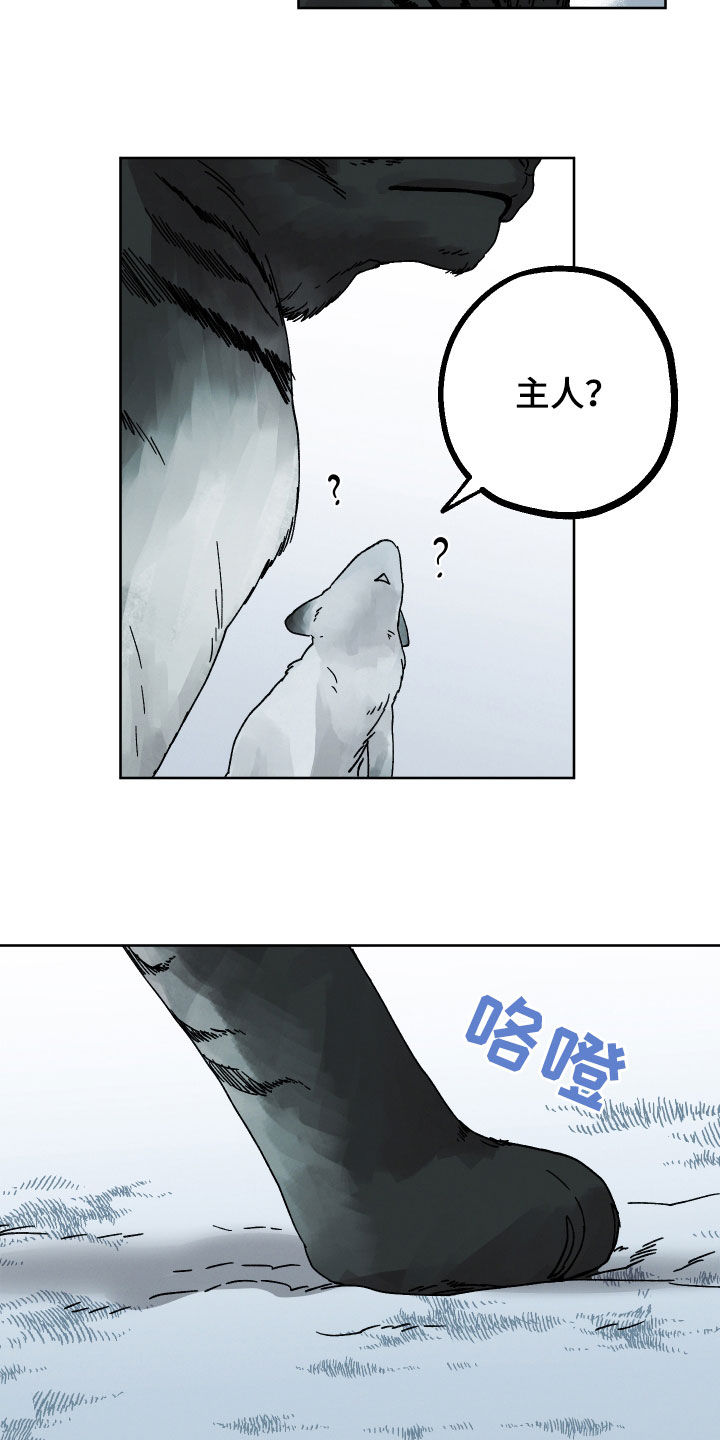 第19章：命运自己找来8