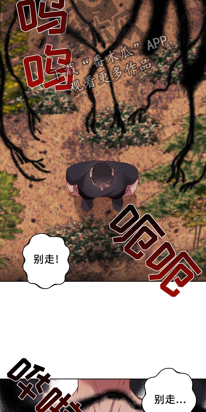第52章：干扰17