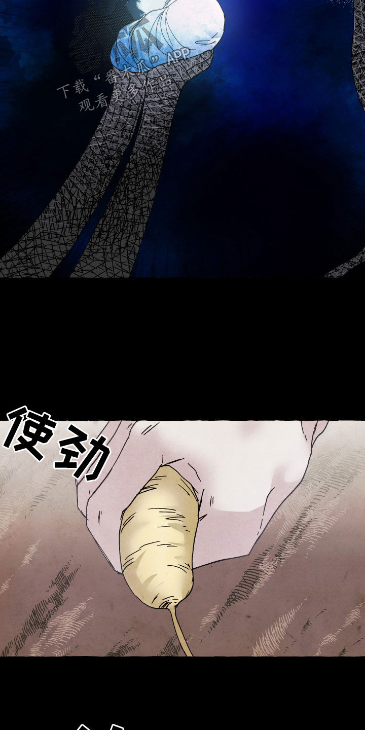 第26章：资格4