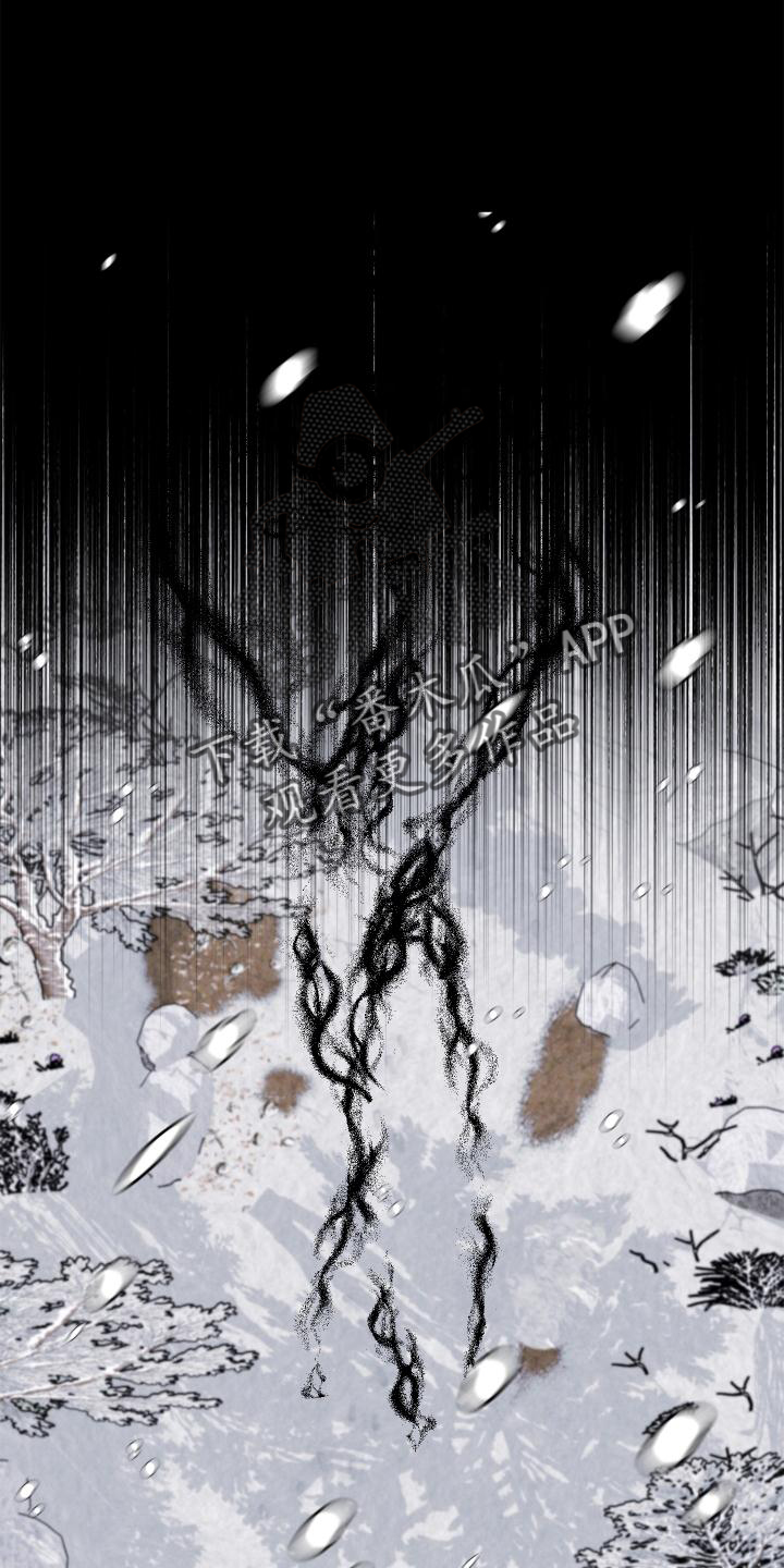 第44章：带走19