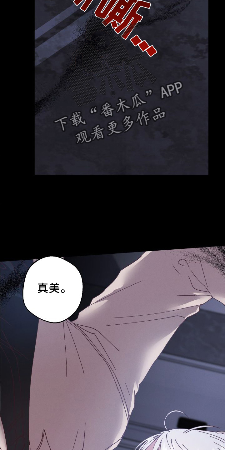 第54章：保护4