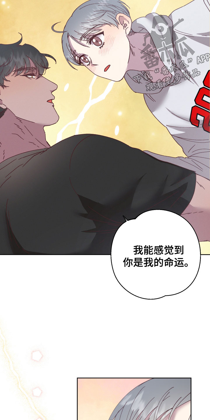 第38章：命运20