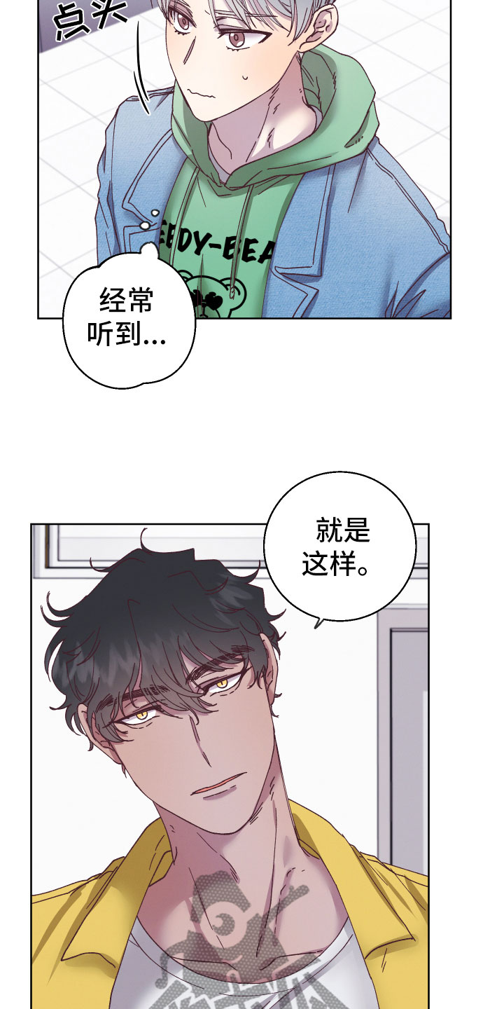 第5章：怎么办17