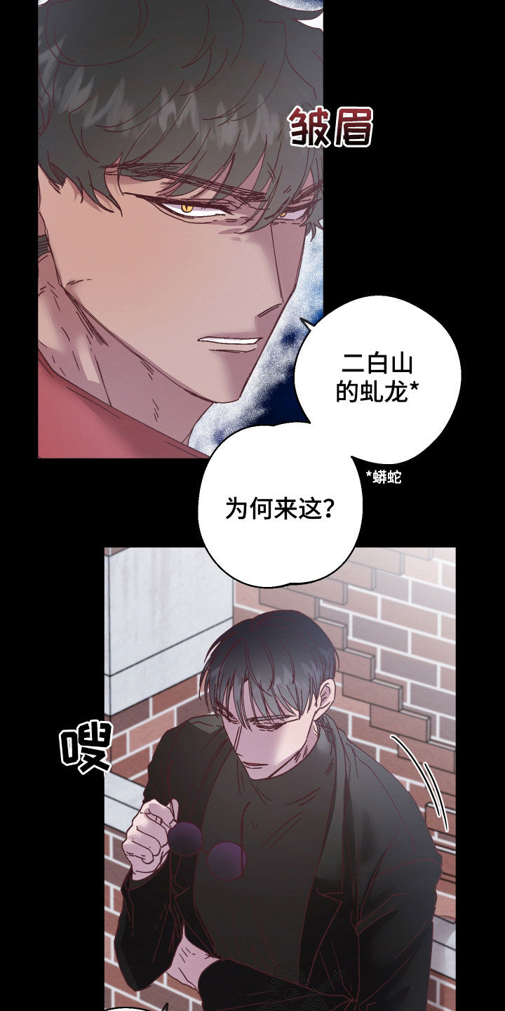 第20章：和他有关19