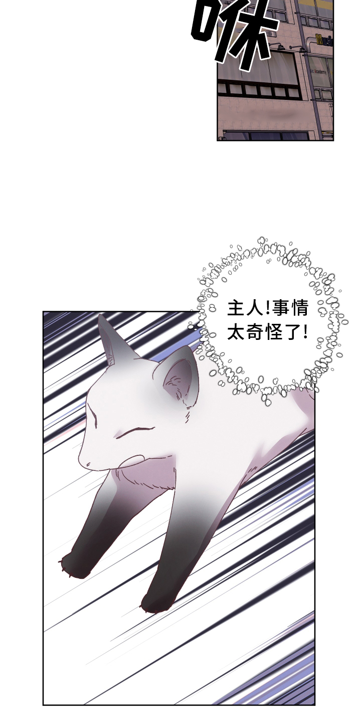 第48章：错解1