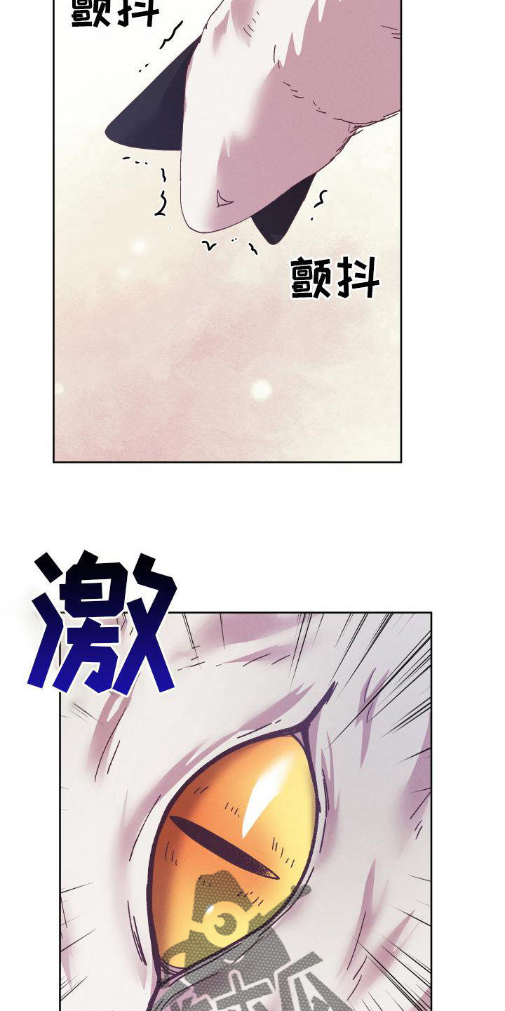 第51章：袭击6