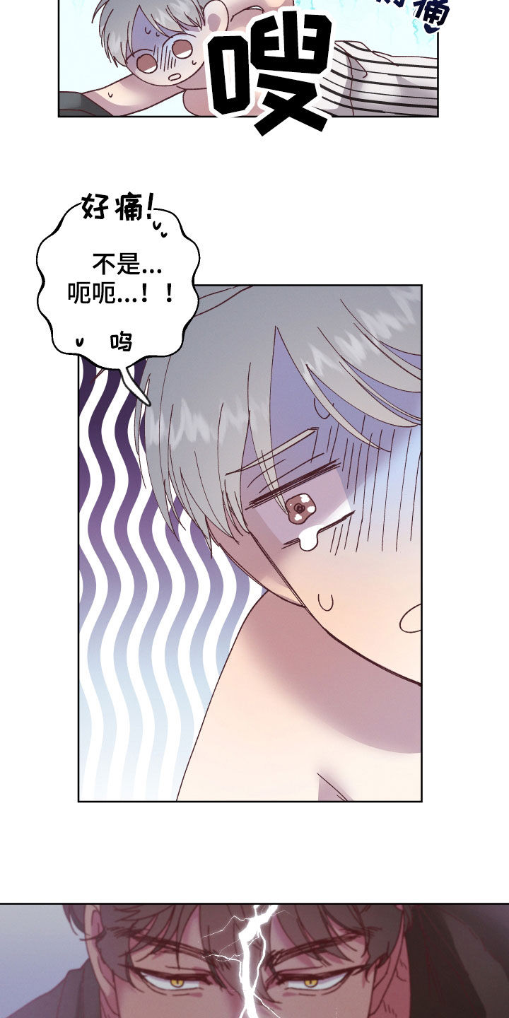 第19章：命运自己找来21