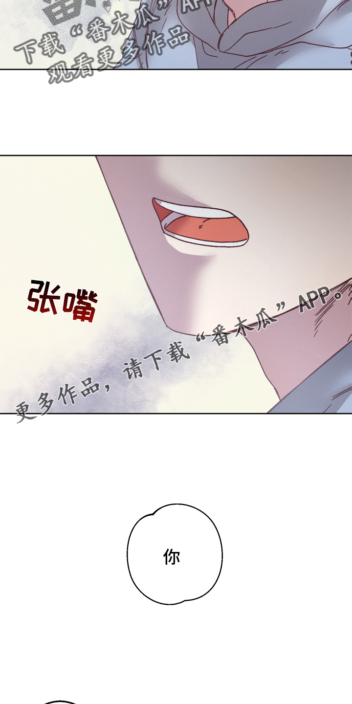 第48章：错解12