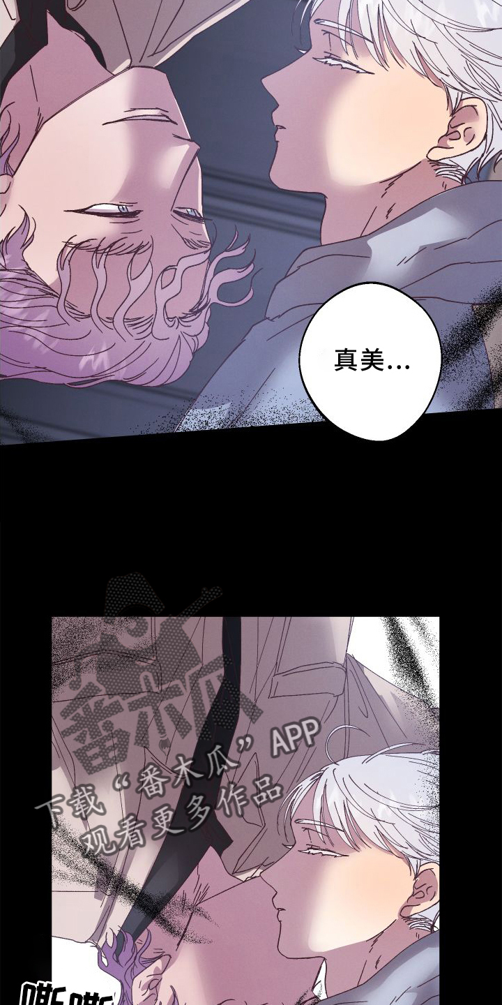 第54章：保护5