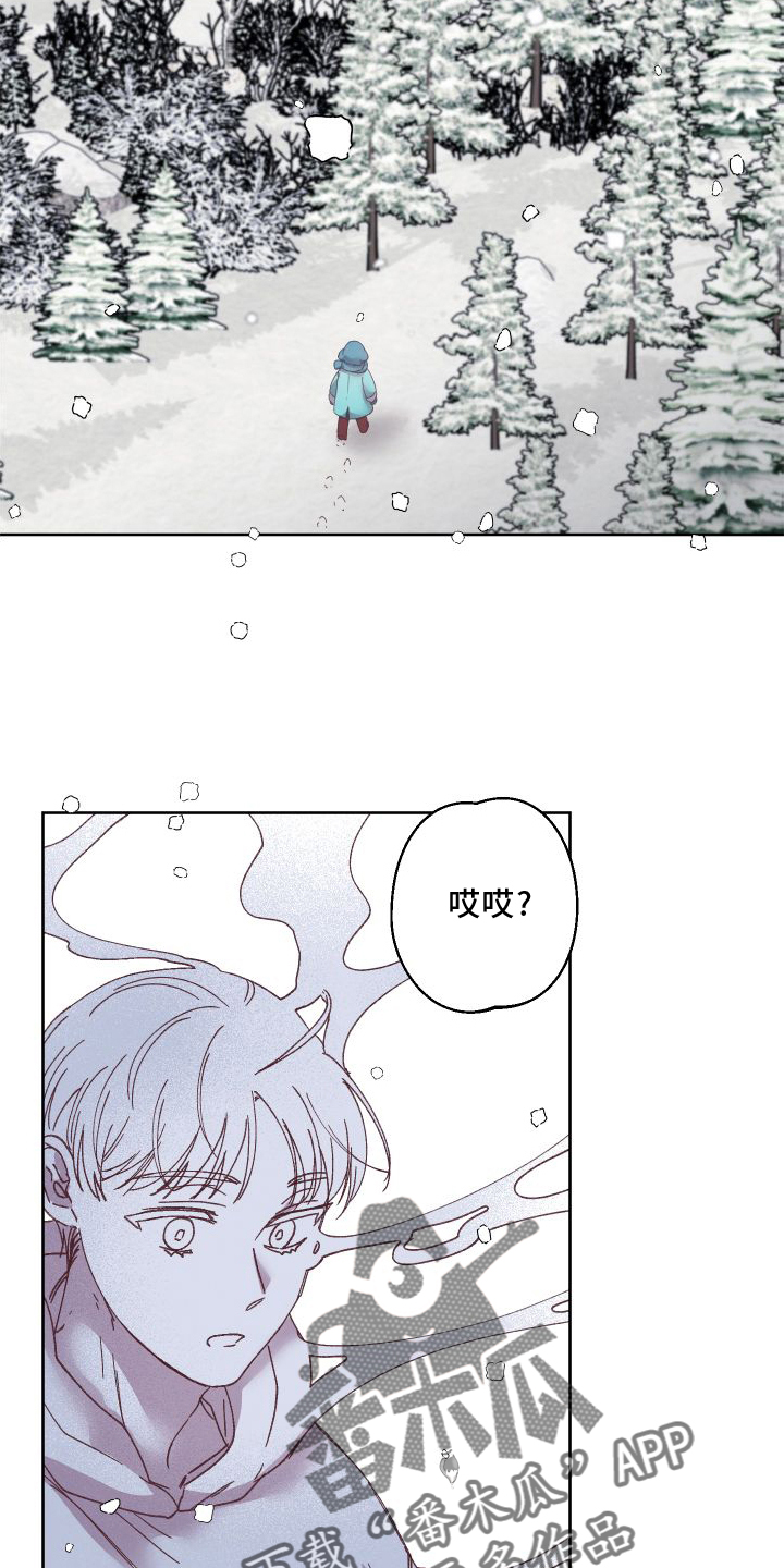 第54章：保护13