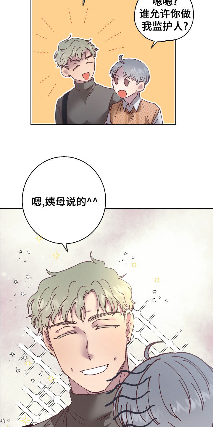 第29章：监护人20