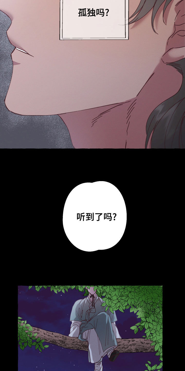 第25章：条件11