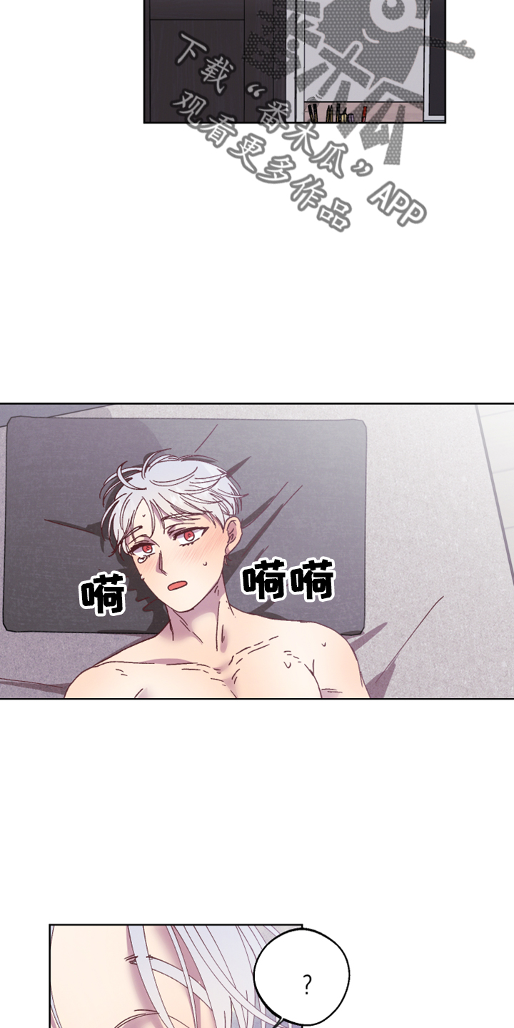 第18章：没情调18