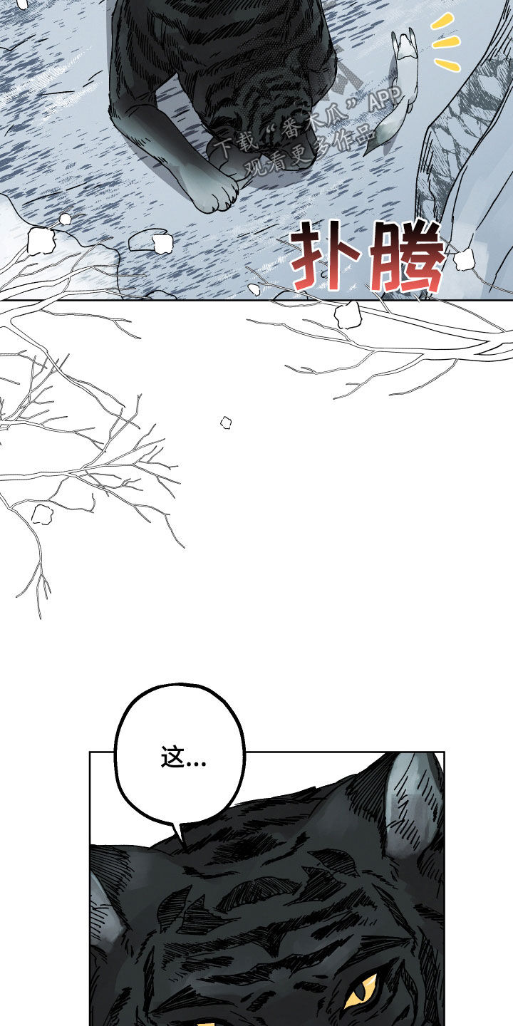 第19章：命运自己找来6