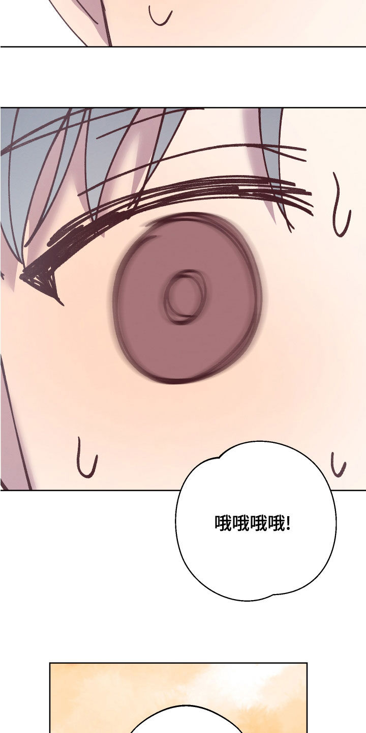 第29章：监护人16