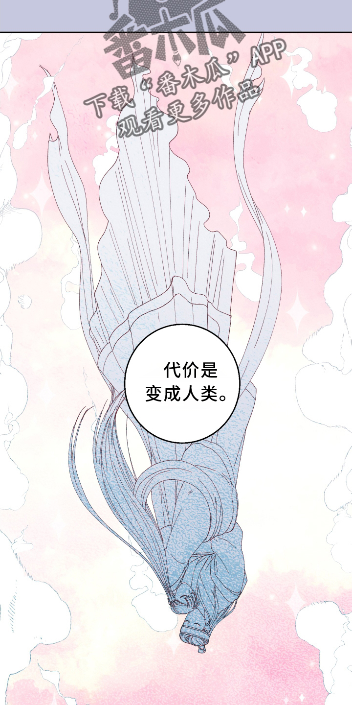 第46章：最好的办法16