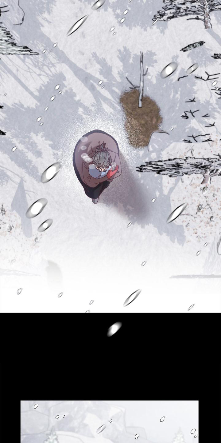 第44章：带走20
