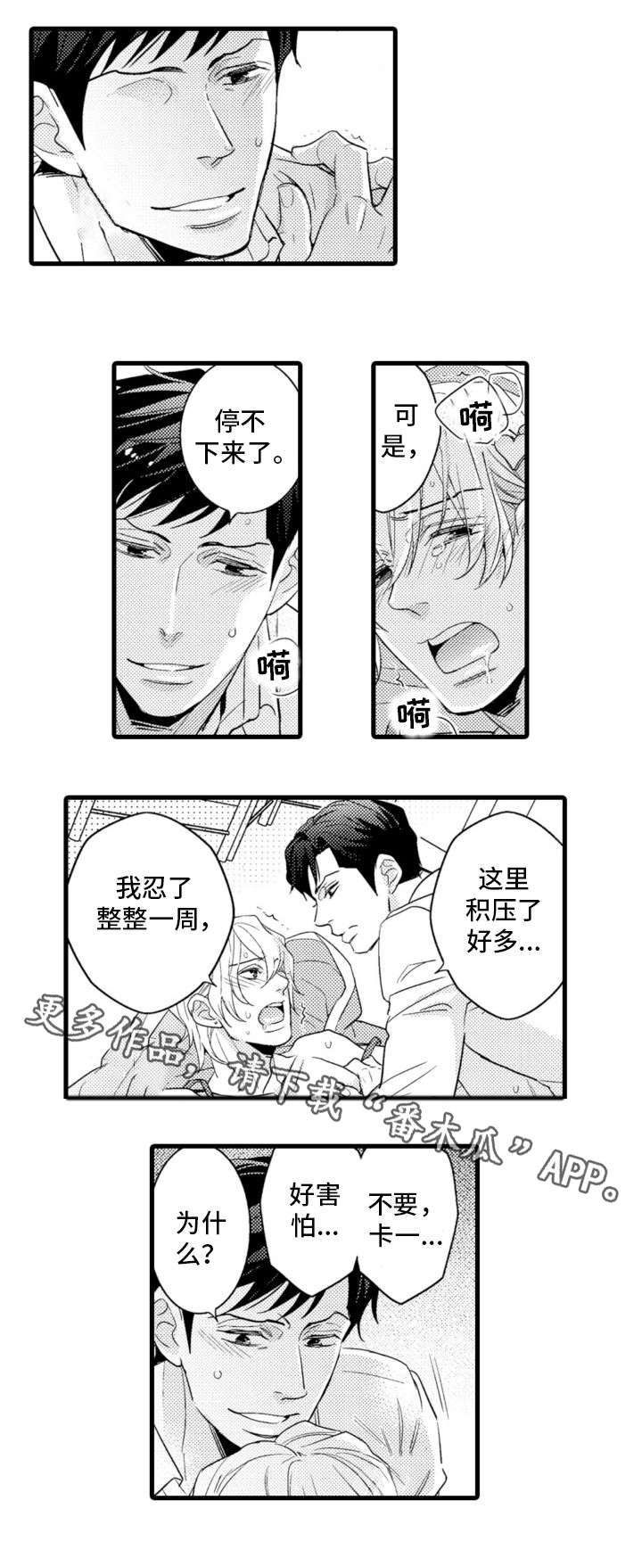 第13章：解释5
