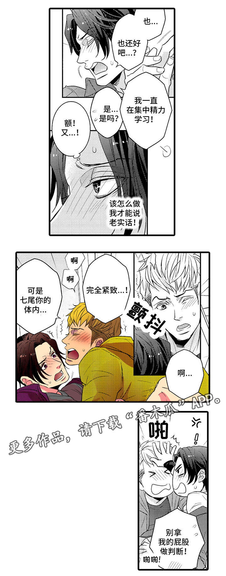第24章：继续交往6