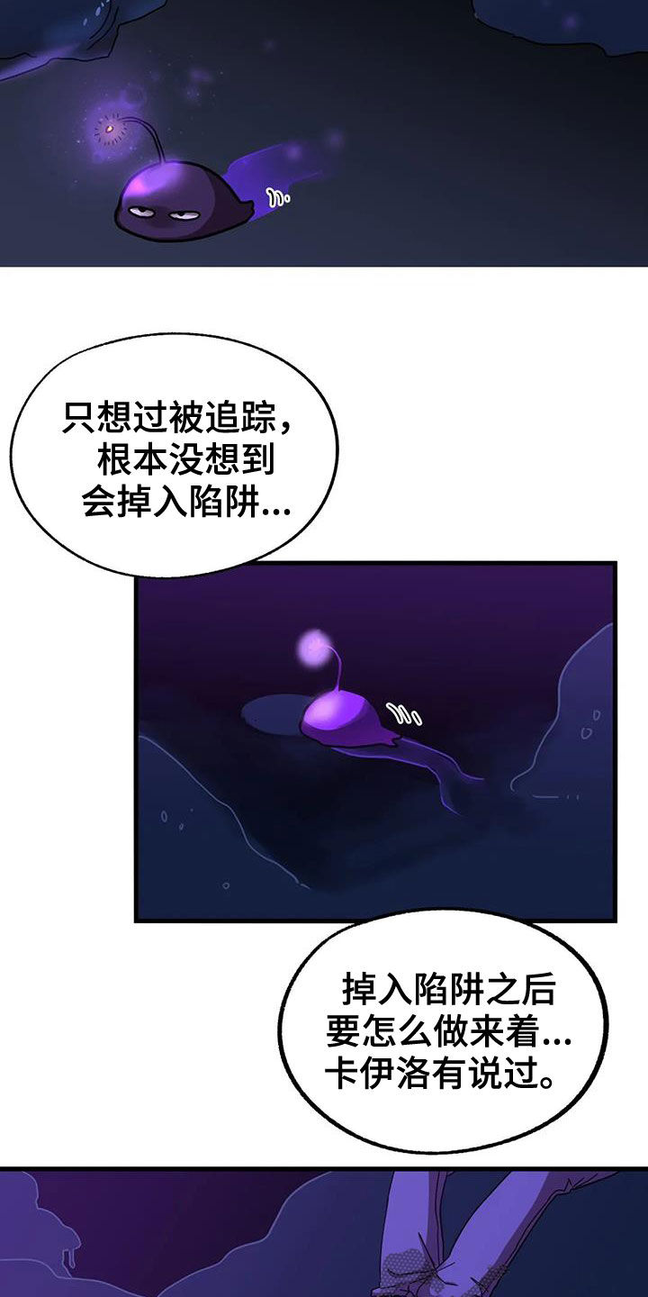 第44章：陷阱5