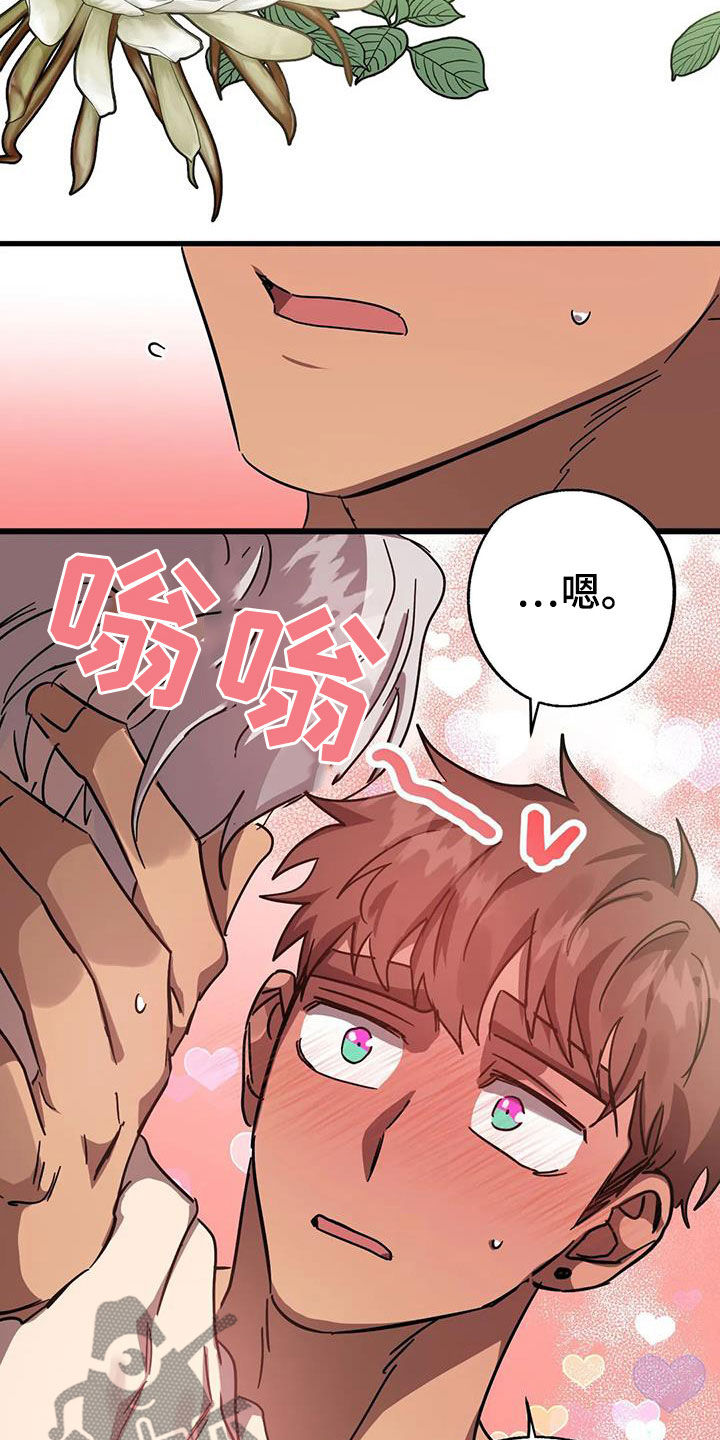 第42章：伪装8