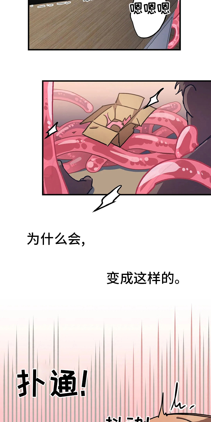 第20章：理想型1