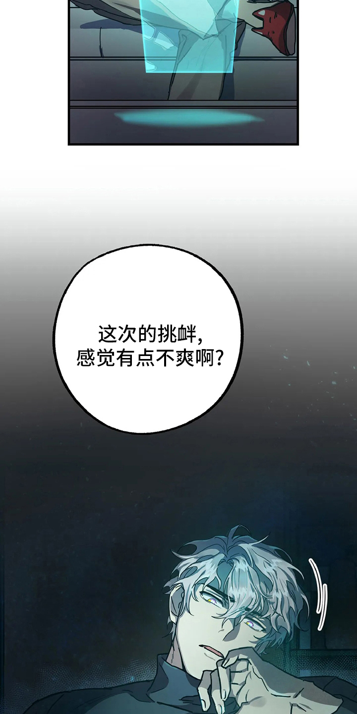 第21章：挑衅12