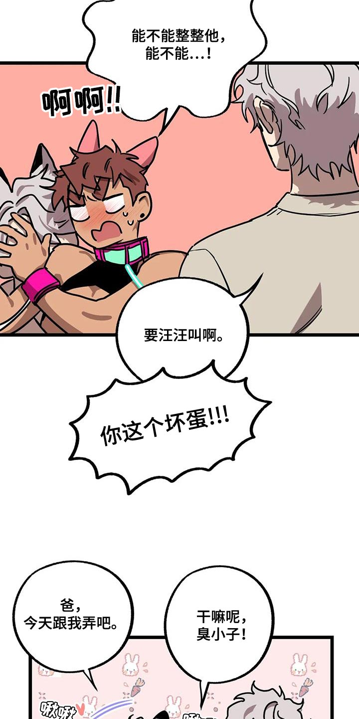 第71章：【番外】散步9