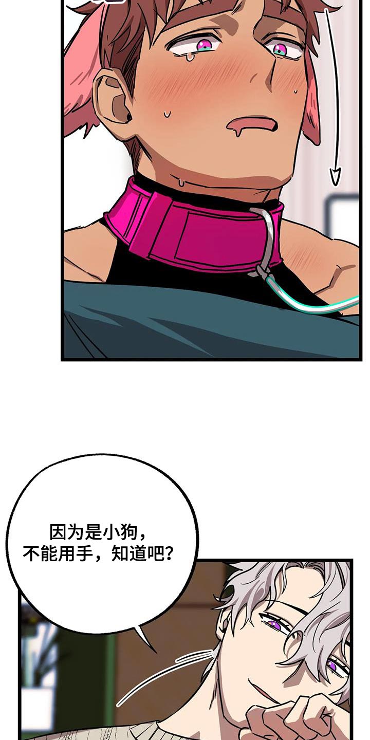 第72章：【番外】做个了断6
