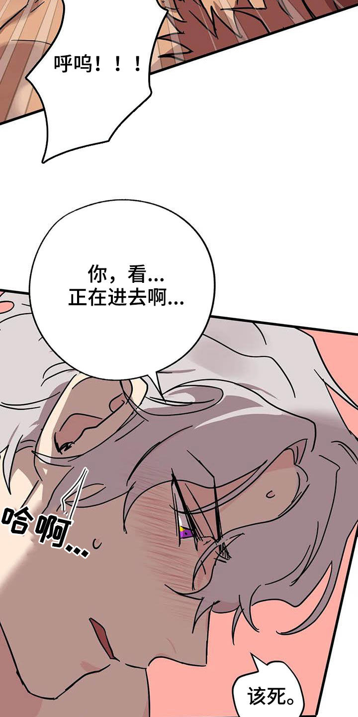 第38章：多多关照11